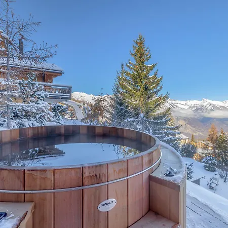 Sapin Argente לה צומאז