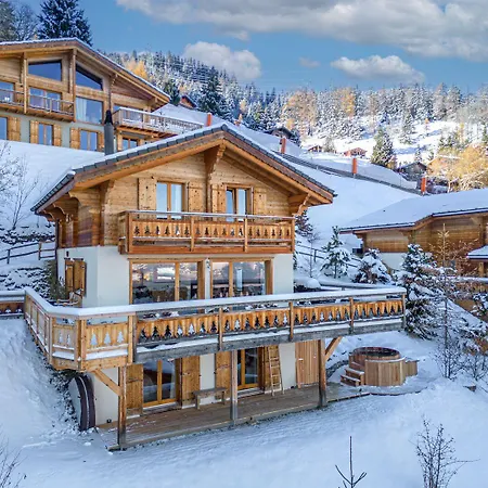 Sapin Argente Chalet