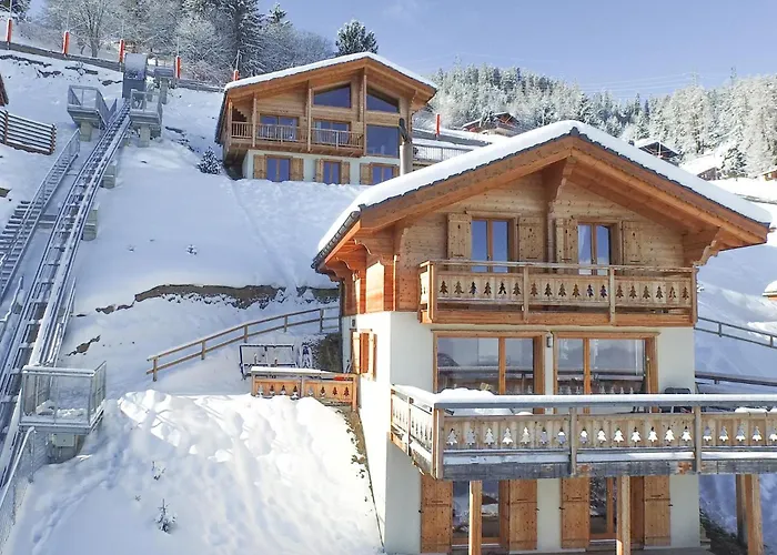 Chalet Sapin Argente *