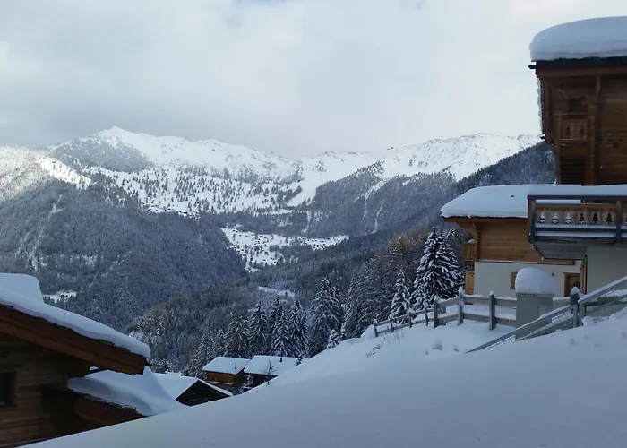 Sapin Argente Chalet