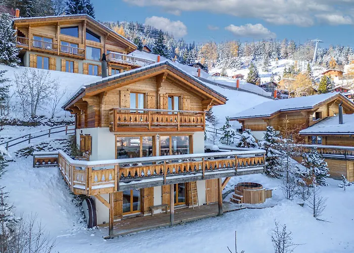 Sapin Argente Chalet