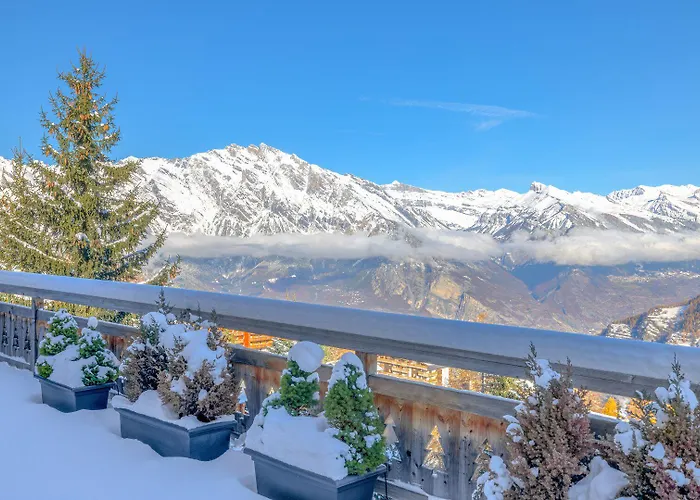 Sapin Argente * La Tzoumaz