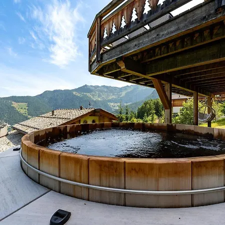 Chalet Sapin Argente